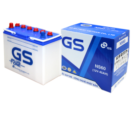 GS NS60