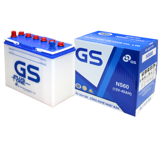 GS NS60